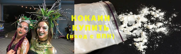 молекула духа Няндома