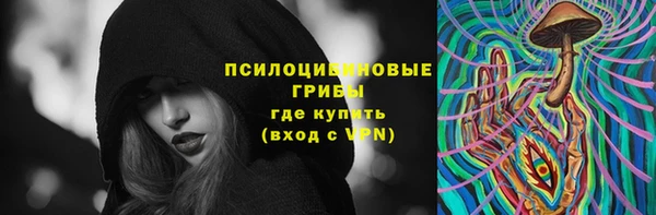 амф Осинники