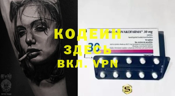 шишки Снежногорск