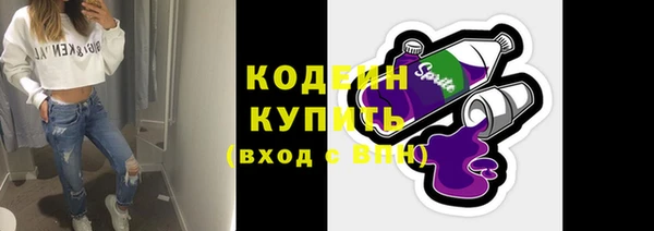 молекула духа Няндома