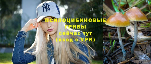 амф Осинники
