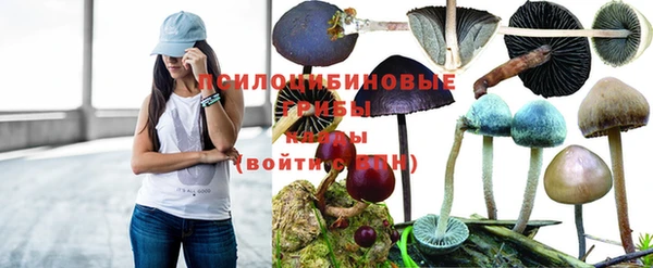 дурь Остров